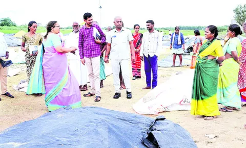 వరి కోతలు వద్దు.. ధాన్యం తడవొద్దు