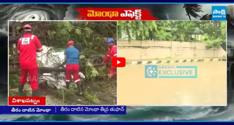 Trees Uprooted Due To Montha Cyclone Effect In Guntur 1