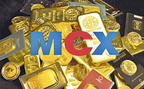 Technical Glitch At MCX: Trading Halted For Over 4 Hours