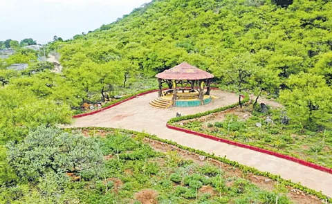 Forest Department has identified 70 forest areas in the state for film shootings