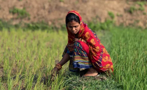 Sagubadi special story on small farmers difficulties