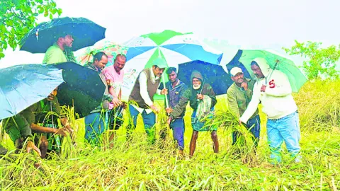 పంట నష్టానికి పరిహారం చెల్లించండి