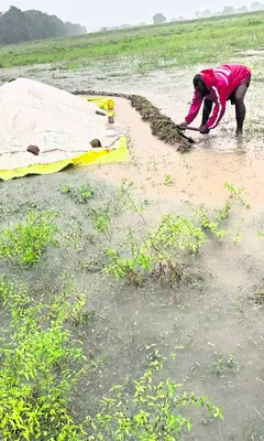 రైతులకు తీవ్ర నష్టం..