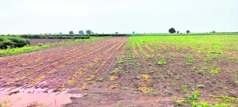 కర్నూలు జిల్లాలో ఇదీ పరిస్థితి..