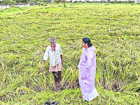 రహదారులపై నీళ్లు నిలవకుండా పకడ్బందీ చర్యలు 