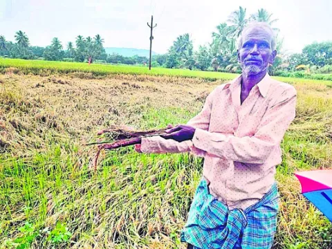 సేవలే చిరస్మరణీయం