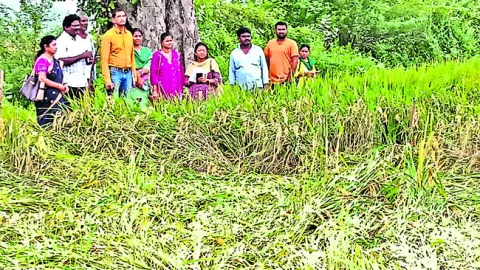 నష్టం మిగిలింది ! 