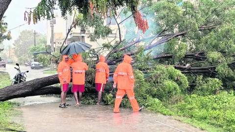 చర్యలు చేపట్టండి: వరంగల్ కలెక్టర్