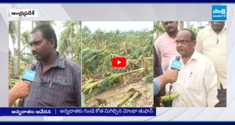 Cyclone Montha Effect Huge Crops Damaged Due To Heavy Rain 1
