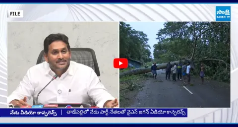 YS Jagan Holds Video Conference With Party Leaders 1