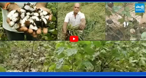 Anchor Eshwar SATIRICAL Punches on Yellow Media And Chandrababu 1