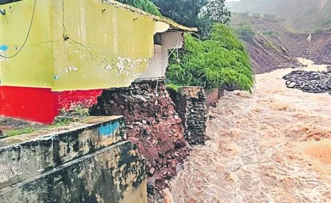 Trees and electric poles downed due to Cyclone Montha