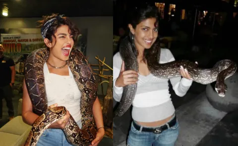 Priyanka Chopra Put Snake Around her Neck, Share Photos