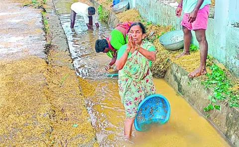 Heavy rains and floods have completely damaged crops on lakhs of acres