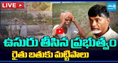 Chandrababu Govt Negligence On Farmers Crop Damage 1