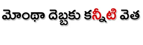 పల్నా
