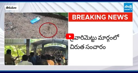 Leopard Roaming At Tirumala Steps Way 1