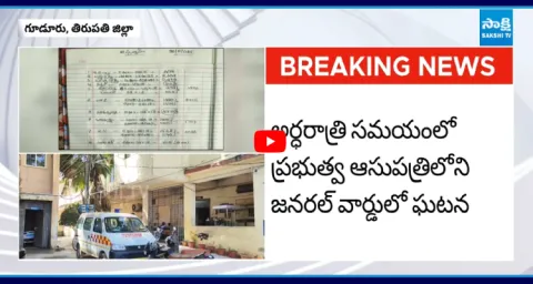 Girl Molested Gudur Government Hospital 1