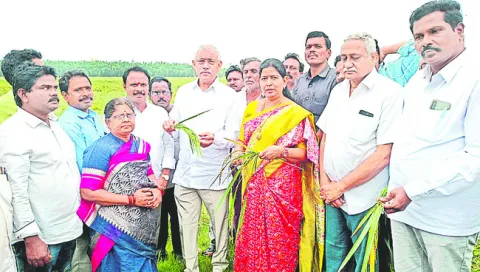 రైతులను ఏ విధంగా ఆదుకుంటారు?