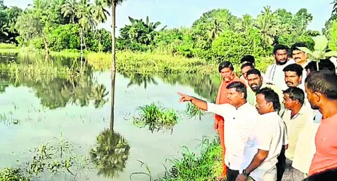 తక్షణం పంట నష్టపరిహారం అందించాలి 