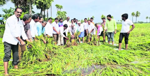తుపాను బాధిత రైతులను ఆదుకోవాలి 