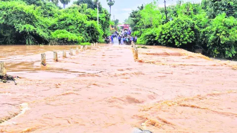 ఏజెన్సీలో భారీ వర్షం 
