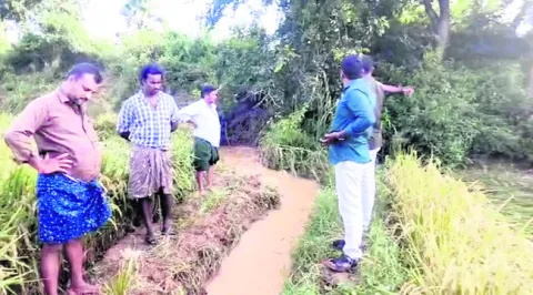 పచ్చనేత నిర్వాకంపై రైతుల గగ్గోలు 