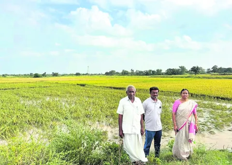 34,127 ఎకరాల్లో పంట నష్టం