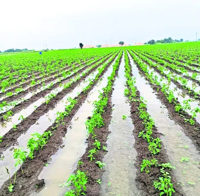 కదిలిస్తే కన్నీరే..