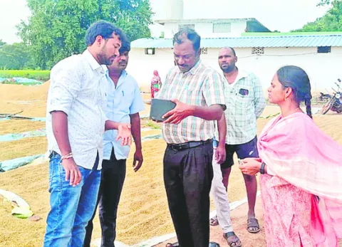 మొలకెత్తిన ధాన్యం ఆరబెట్టాలి 