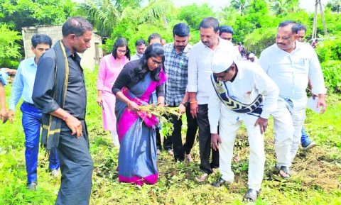 రైతులను ఆదుకుంటాం 