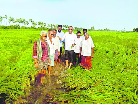 కూటమి ప్రభుత్వంలో రైతులకు భరోసా కరువు 