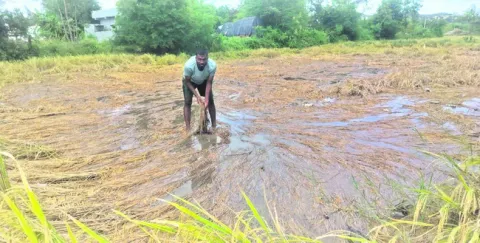 రైతన్నకు కన్నీరే దిక్కు..!
