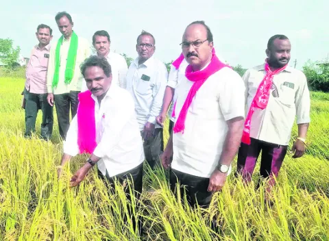 ఎకరాకు రూ.50 వేల పరిహారం చెల్లించాలి