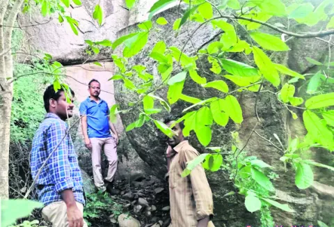 మరోసారి  కనిపించిన చిరుత 
