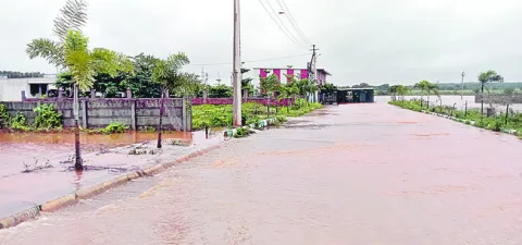 అనుమతిలేని వెంచర్లు