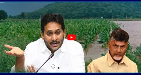 YS Jagan Fire On Chandrababu Over Farmers Problem 1