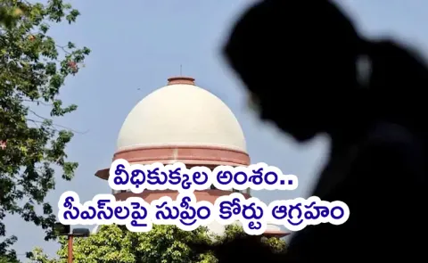 Stray Dogs Case: No Relief for Chief Secretaries In Supreme Court