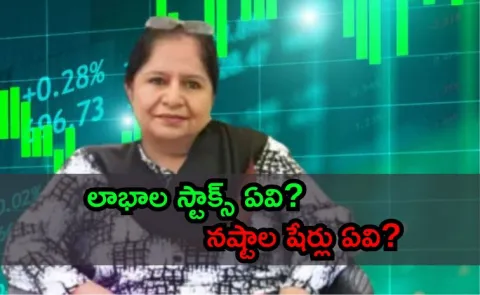 Stock Market Investor Dolly Khannas portfolio revealed