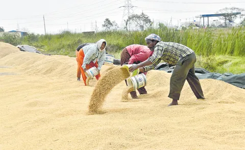 Sakshi Guest Column On Imports of Agriculture and farmers