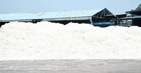 ‘స్లాట్‌’తోనే పత్తి కొనుగోళ్లు