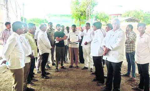 విదేశాలకు చీనీ ఎగుమతులపై దృష్టి 