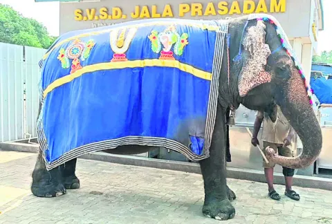 గజలక్ష్మి భయపెట్టింది 
