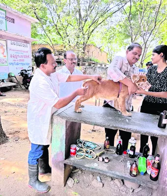 డాక్టర్‌ పెంటయ్య సేవలు అద్భుతం