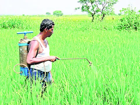 పురుగుమందుల స్ప్రేలో అవగాహన తప్పనిసరి