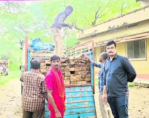 అటవీశాఖలో అక్రమార్కులు