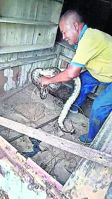 కొండచ