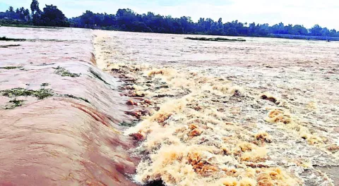 వణికి