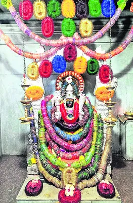 నిజ రూపంలో భ్రమరాంబిక