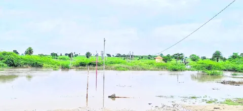 ఆరుగా